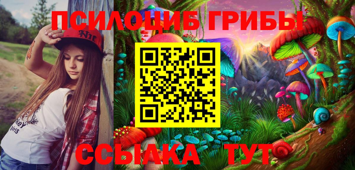 Галлюциногенные грибы Psilocybe  Вход с VPN  Галлюциногенные грибы Psilocybe  Десногорск 